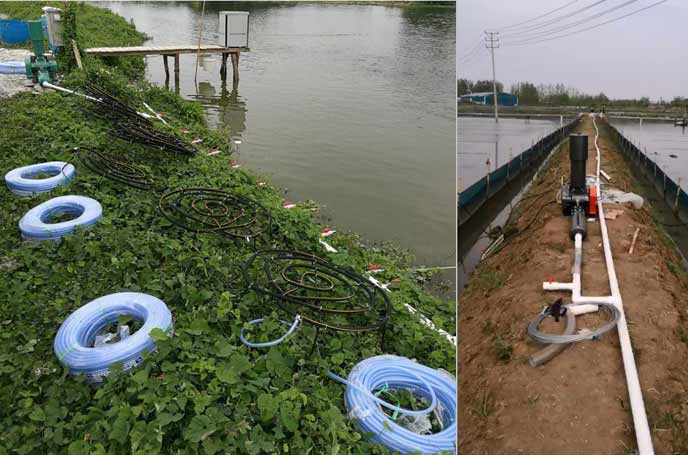 水产养殖中罗茨鼓草莓视频APP官方曝氧气作用效果明显好