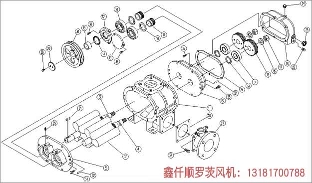 罗茨草莓视频APP官方工作组成部件