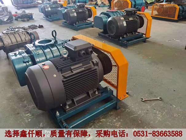 发货广西高压罗茨鼓草莓视频APP官方XQSSR15030KW6台(图2)